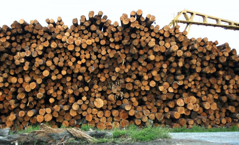 Potpora male vrijednosti za preradu drva